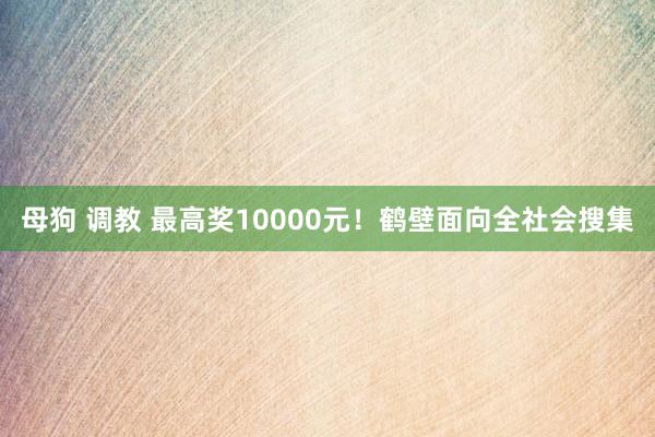 母狗 调教 最高奖10000元！鹤壁面向全社会搜集