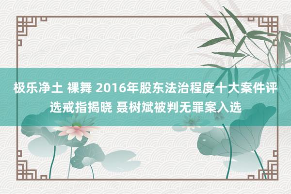 极乐净土 裸舞 2016年股东法治程度十大案件评选戒指揭晓 聂树斌被判无罪案入选