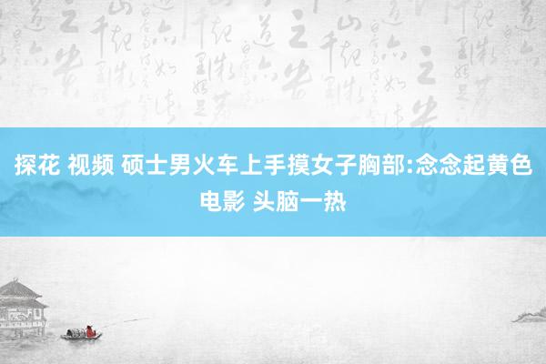 探花 视频 硕士男火车上手摸女子胸部:念念起黄色电影 头脑一热