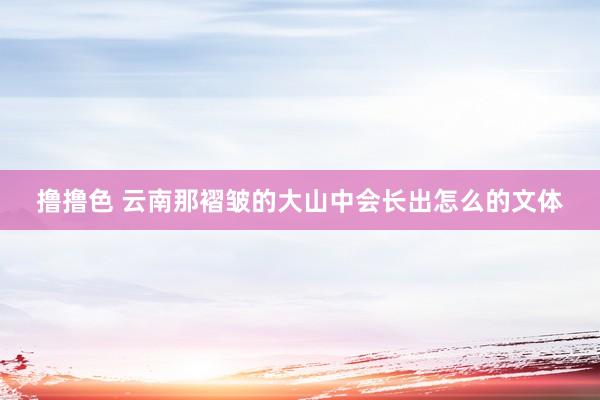 撸撸色 云南那褶皱的大山中会长出怎么的文体