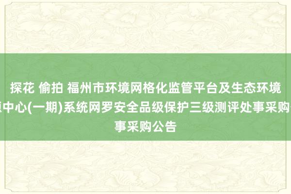 探花 偷拍 福州市环境网格化监管平台及生态环境资源中心(一期)系统网罗安全品级保护三级测评处事采购公告