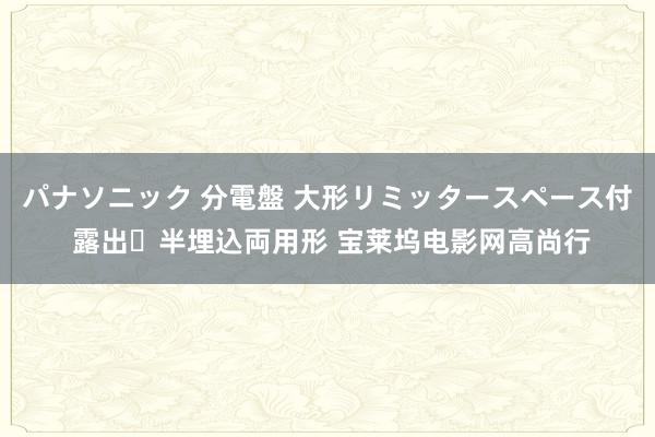 パナソニック 分電盤 大形リミッタースペース付 露出・半埋込両用形 宝莱坞电影网高尚行